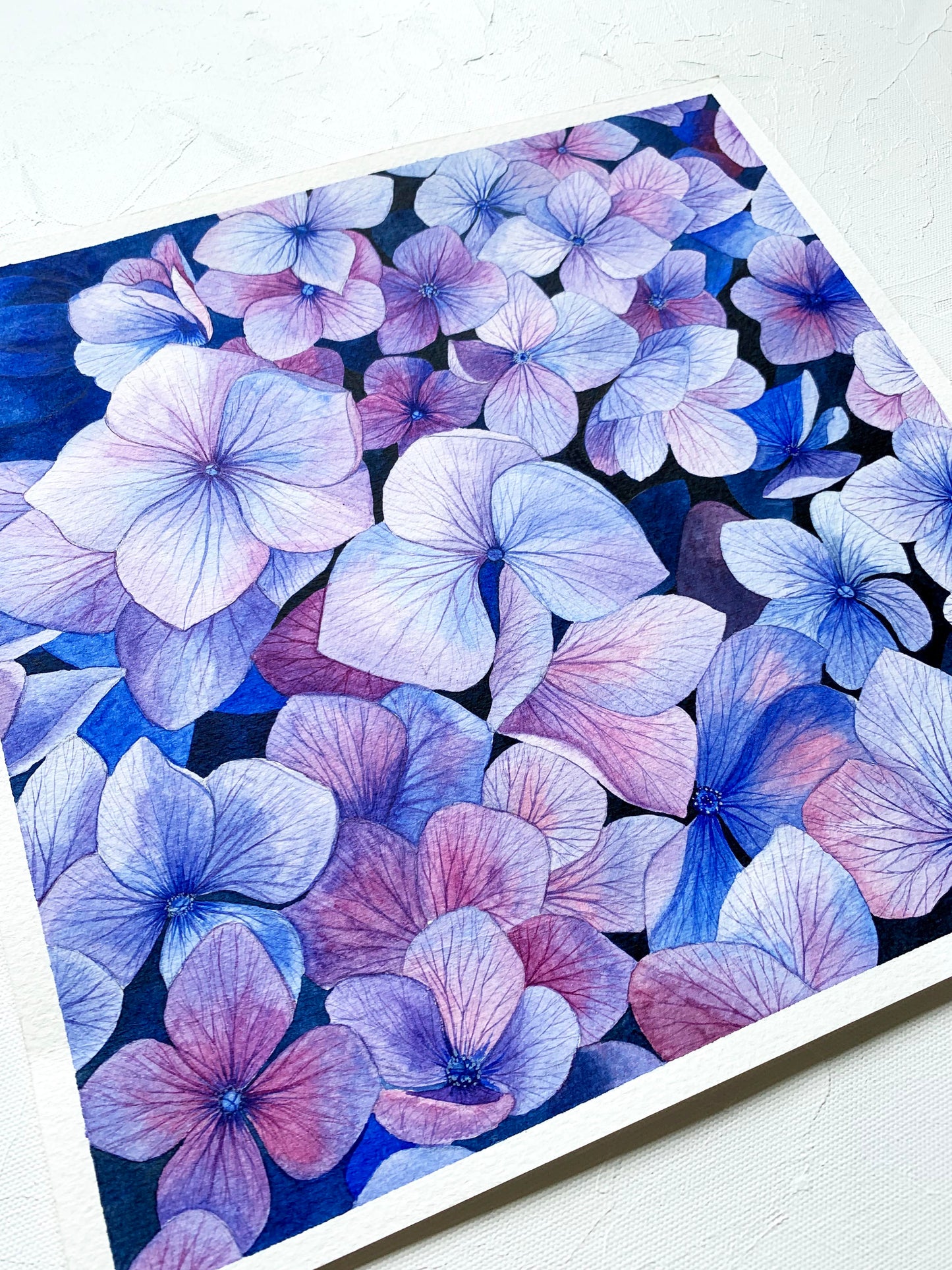 Blue Hydrangea Watercolour Painting