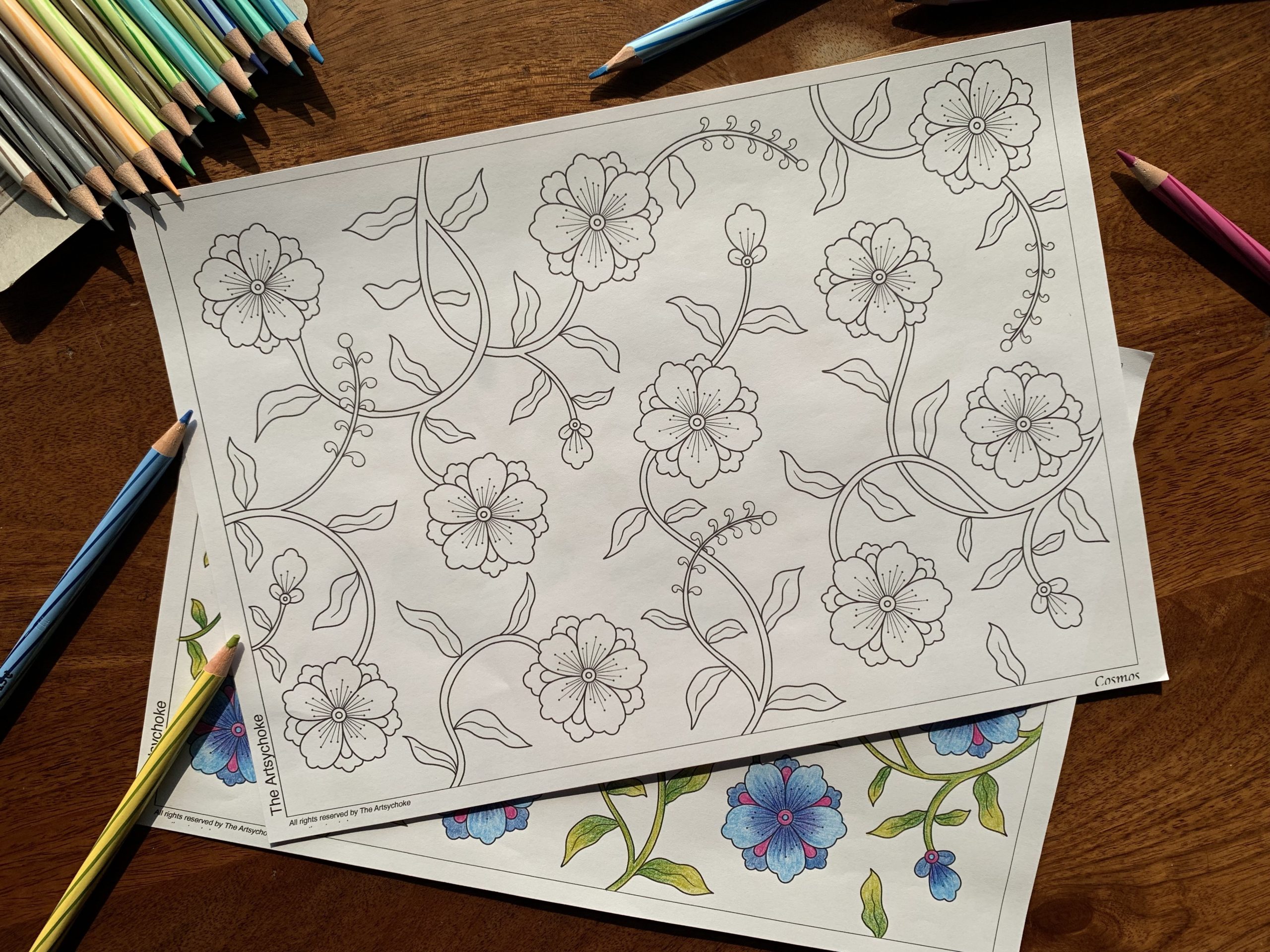 Cosmos-flower-colouring-sheet-paints-floral-hobby